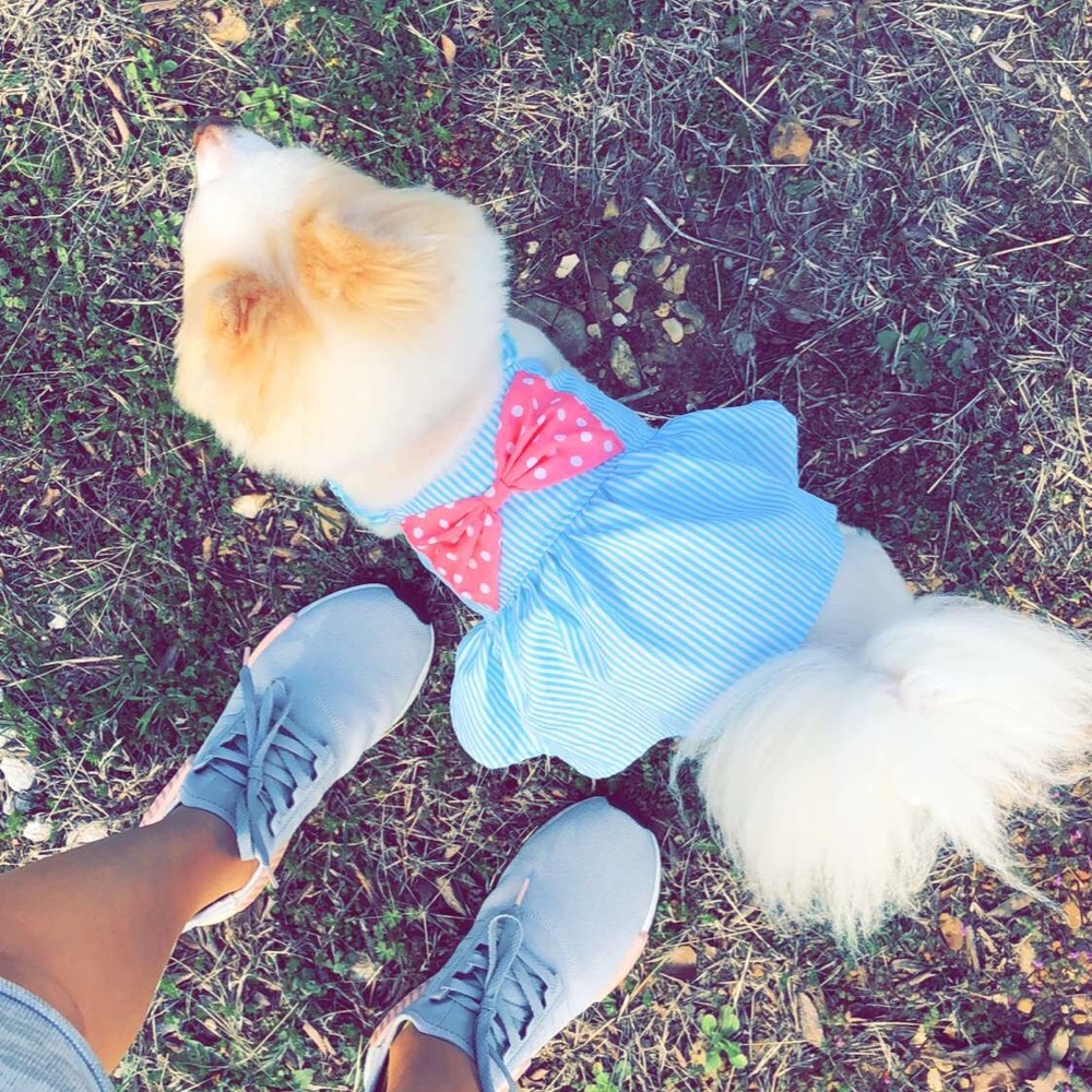 ! ✨Dog Mom 🐾 Short Sleeved Shirt - Picture 6 of 7